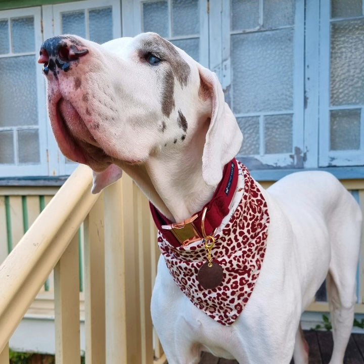 Floral Leopard Reversible Tie Up Bandana