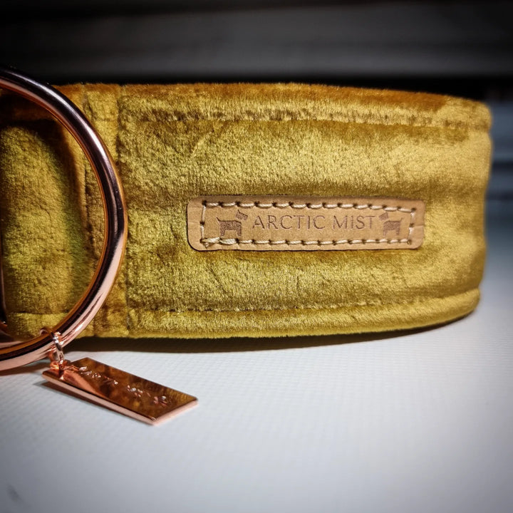 Gold Velvet Martingale Collar