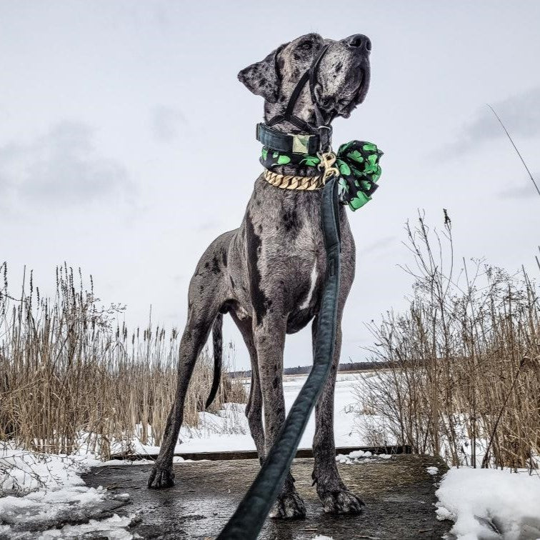 Green Luxury Velvet Lead