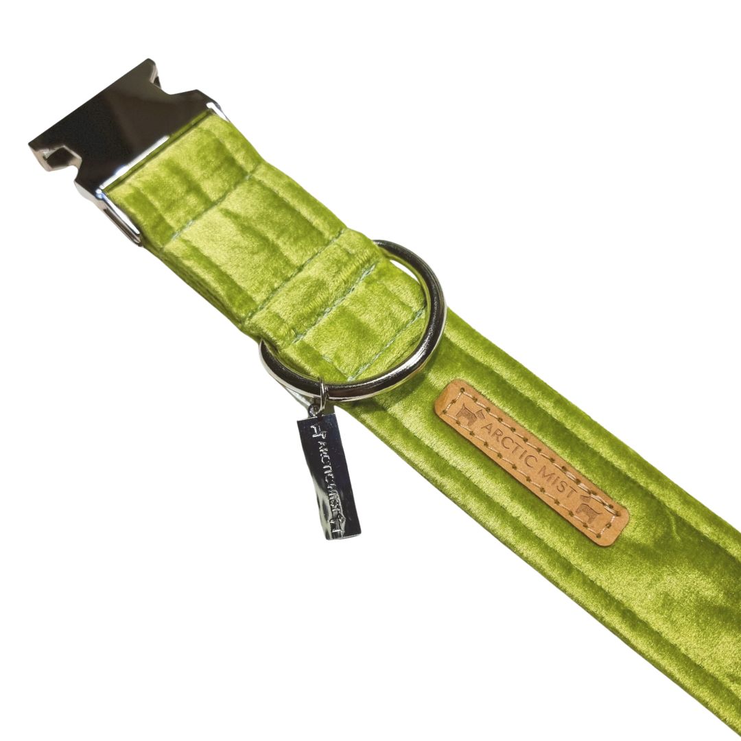 Lime Green Velvet Buckle Collar